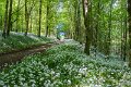 Springtime in Monaghan 2013 (31)